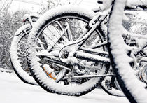 Где в Москве покататься на велосипедах зимой