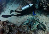 Около Тонга обнаружен затонувший английский пиратский корабль с сокровищами