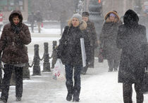 Москву подготовили к снегопадам