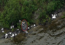 Расстрел на острове Утойя снимали с вертолета