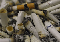 Медведев намерен выкурить табак из России