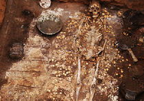 Археологи нашли погребение сарматского колдуна, фляжку патриарха Никона и клад из «мертвого города»