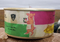 Еда с замерзшим сроком годности