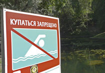 Роспотребнадзор закрыл еще один пляж для купания в Москве