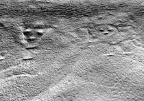 На плато Наска найдено странное изображение сцены отсечения головы