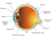 Стволовые клетки возвращают людям зрение