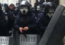 «Беркут» принуждают к миру. Много жертв