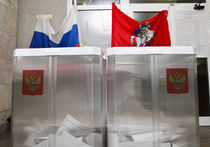 За выборами мэра Москвы будут наблюдать специально обученные волонтеры