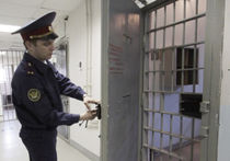Парализованного аудитора, осужденного на шесть лет в Москве, требуют освободить
