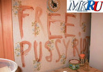 Убийцу, написавшего на стене кровью «FREE PUSSY RIOT», признали психом