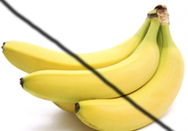 А может, больше не писать про бананы?