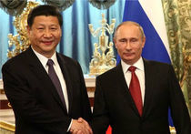 Путин и Си Цзиньпин договорились вместе защищать птиц