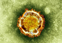 ВОЗ предупреждает: Опасный коронавирус передается от человека к человеку