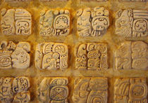 В расшифровке языка майя может поучаствовать любой пользователь интернета