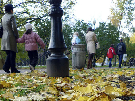 Множеством жалоб от недовольных москвичей обернулся осенний листопад