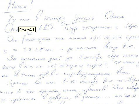 В своем блоге адвокат разместила скриншоты писем двух других участниц группы Pussy Riot, из которых "понятно, что Екатерина Самуцевич пошла на сделку со следствием"
