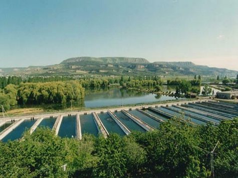 Во второе воскресенье июля в России традиционно отмечают День рыбака 