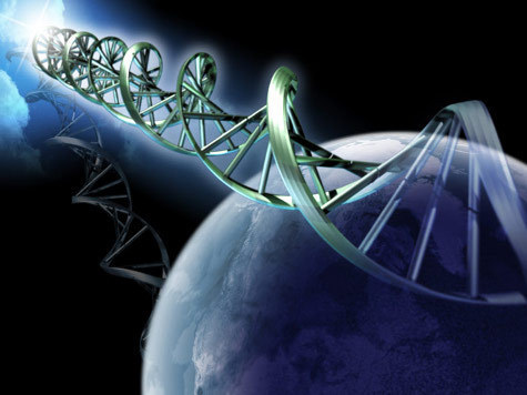 «Земная» ДНК может находиться под «марсом»