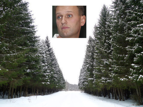 Владимир Маркин объяснил поспешность расследования дела "Кировлеса"