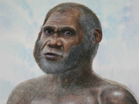 Окаменелые останки принадлежали представителю неизвестного вида гоминид, дожившему до конца ледникового периода