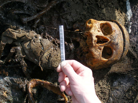 Около двух миллионов лет назад одновременно с человеком прямоходящим (Homo erectus) обитали совершенно необычные человекоподобные виды с плоскими лицами и большими зубами