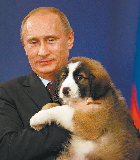 Читатели “МК” ищут кличку для новой собаки Путина
