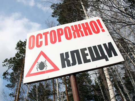 В Башкирии растет количество клещей, переносящих сразу четыре инфекции