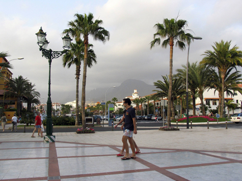 О наводнениях, беспорядках и эпидемиях в других странах туристы смогут узнать от чиновников