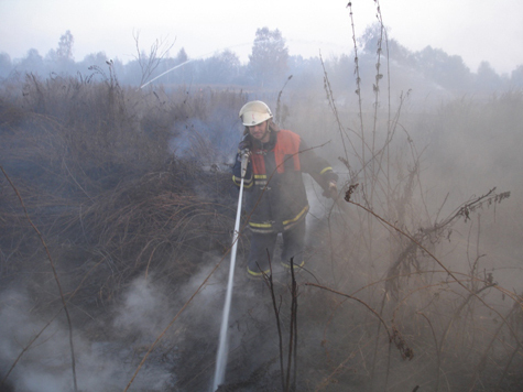 Данные МЧС и Гринпис о пожарах во владимирских лесах сильно расходятся