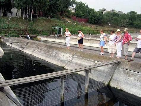 В минувшее воскресенье в России отмечали День рыбака