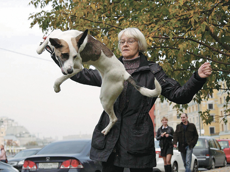 Звезды отечественного кино провели шествие в защиту собак
