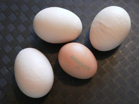 Экономить на яйцах при изготовлении майонеза запретят производителям