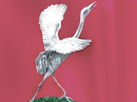 Телерадиокомпания «Югра» совместно с ювелирной компанией «Моисейкин» учреждает ежегодную телевизионную премию «Крылья надежды»!