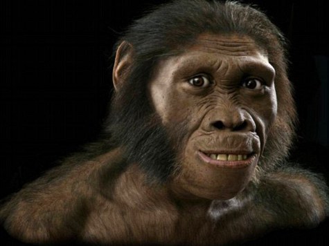 Палеохудожник создал портрет вида, связывающего обезьяну и человека