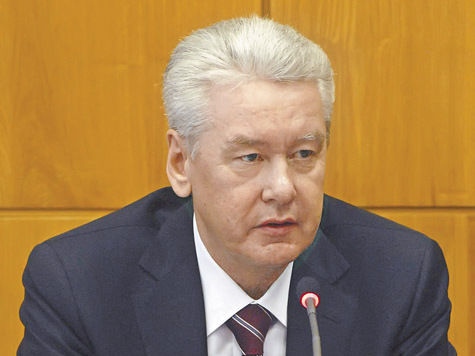 Сергей Собянин призвал муниципальных депутатов поддержать оппозиционера