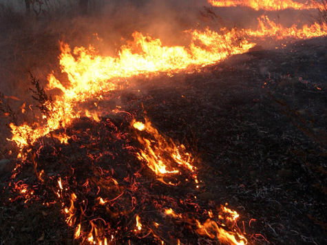 Губернаторам не хватит денег на тушение лесных пожаров