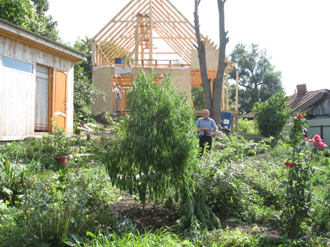 Коноплю в декоративных целях выращивала 70-летняя пенсионерка в Подмосковье до тех пор, пока ее молодой сосед не стал воровать листья растения для курения