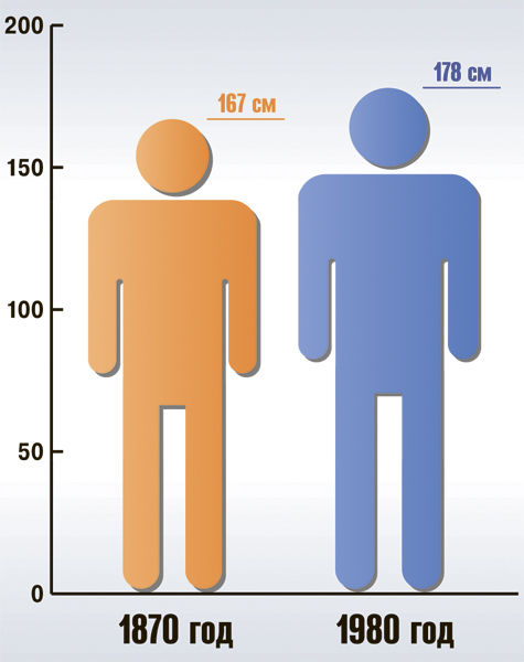 Мужчины в Европе выросли на 11 см