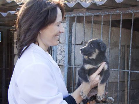 Центр «Любимец» – единственное место в Туле, где бездомные животные могут найти приют