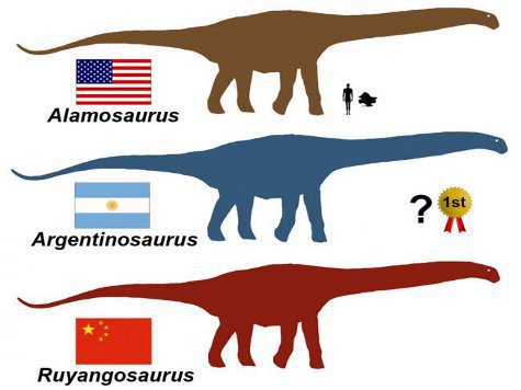 Найденные кости принадлежали огромному зауроподу Alamosaurus sanjuanensis