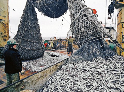 Бесплатно выдавать рыбакам сухой паек обязаны будут теперь владельцы морских судов, даже если те выходят на промысел всего на несколько часов