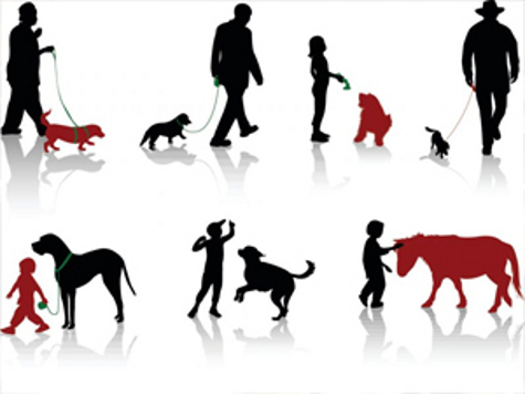 Об этом сообщают власти Австралии. Они опасаются о выходе этого заболевания за видовые границы