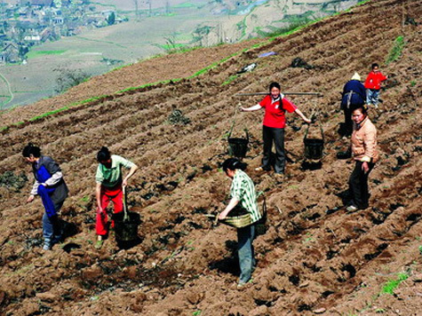 Жара в Свердловской области спровоцировала межнациональный конфликт
