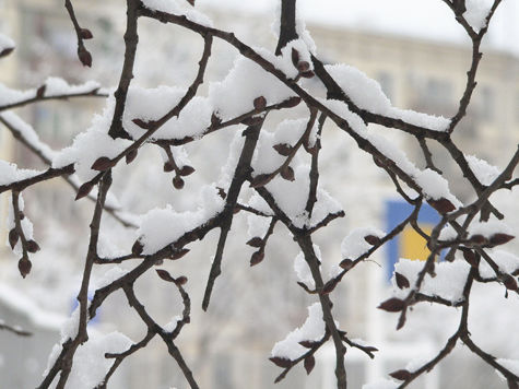Классическая зимняя погода ожидает москвичей и жителей области в новогоднюю ночь