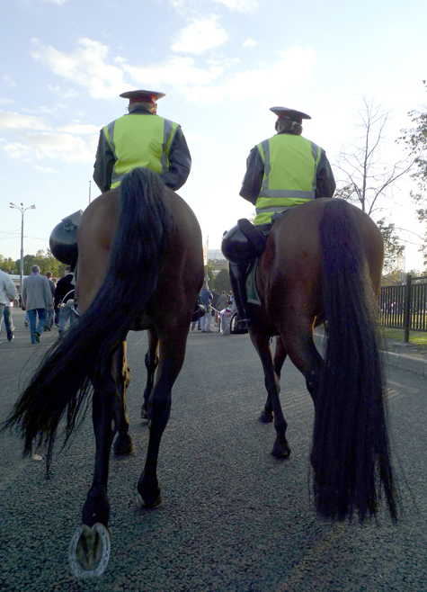 Полицейский не имеет права передавать закрепленную за ним лошадь не только посторонним, но и коллегам