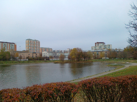 Не совсем обычное бабье лето выдалось в этом году в Московском регионе