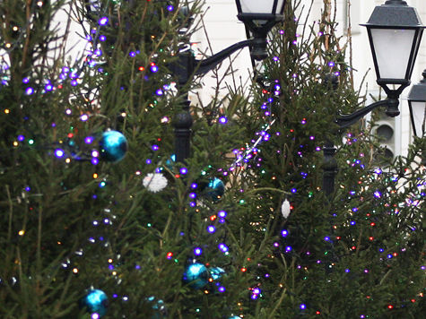 Странные пляски вокруг новогоднего дерева