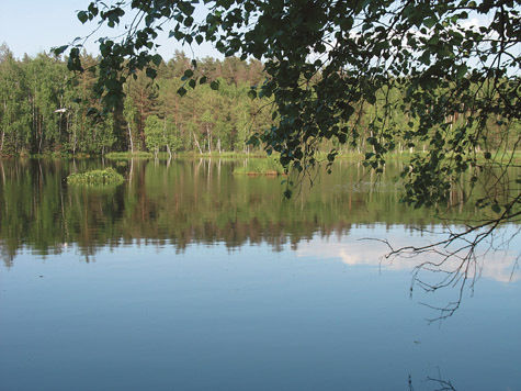 Как подручные «главного чекиста» спрятали компромат на дне лесного озера в Пушкинском районе