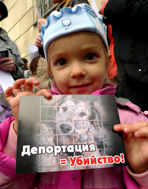 У столичной мэрии протестовали против строительства приюта в Ярославской области