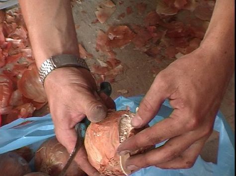Более 4 кг героина, искусно замаскированного под... репчатый лук, изъяли наркоборцы в минувший понедельник в подмосковном Орехове-Зуеве у членов местной этнической преступной группы